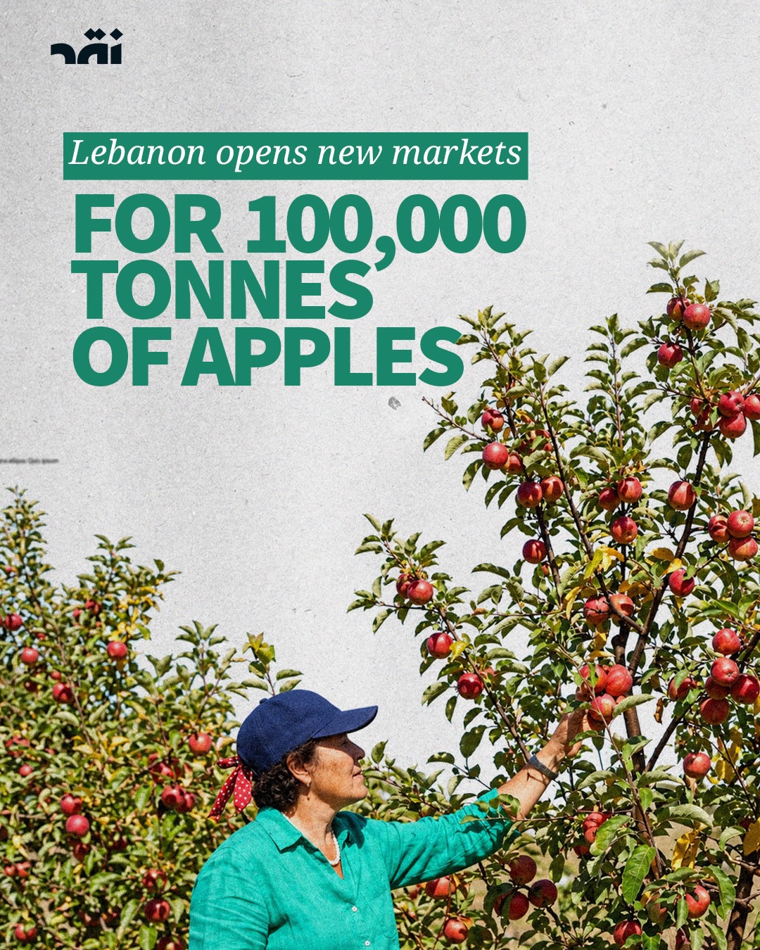 Lebanon Opens New Markets For 100,000 Tonnes Of Apples